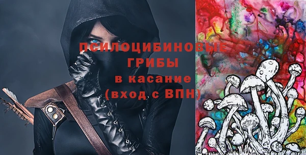 шишки Алексеевка