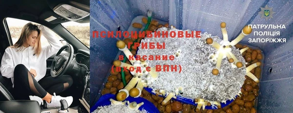 шишки Алексеевка