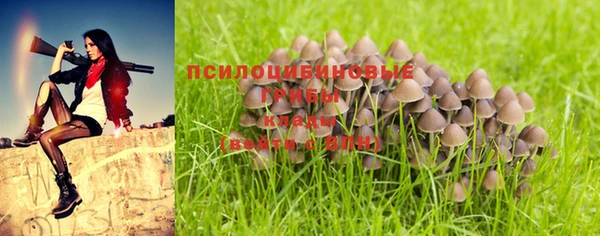 стафф Алзамай